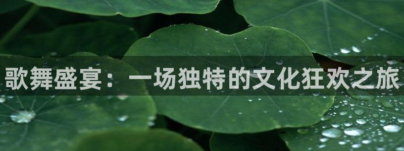 极悦娱乐注册