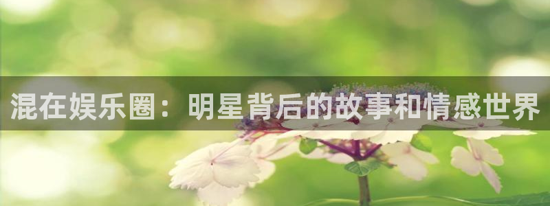 极悦娱乐