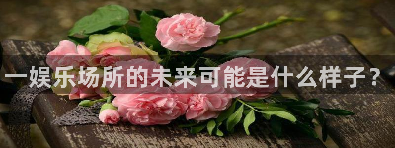 极悦代理